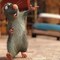 Xduard Nijegolqw