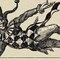 Jester_CH