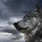 Wolfhound
