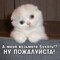 ВотТакВот
