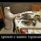 левадский
