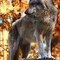 Ник_1046244