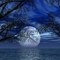 Light Moon
