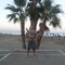 Sever_r