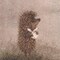 nyamocka