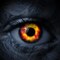 Apollon7