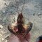 Sergey Kk7