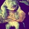 Artyom Hardyyyyy