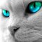 Алла-