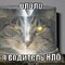Водитель_НЛО