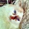 Ник_1065254