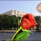 ксения я