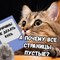Кусь
