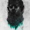 Supreme_evil2