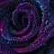 Ник_710867