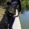 _Vikysya_