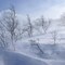 Snowstorm13