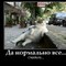 анатолий иванови