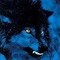 Night Wolf