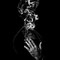 Rinat Andreevich