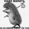 аNDREй