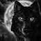 --Wolf--