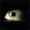 Alexandr_G