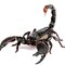 Scorpion_V