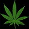 Mr_CaNNaBiS