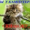 skripchen