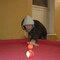 Aleksandr Golqwz