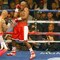 boxter