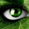 beady eyes