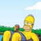 -homer-