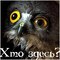 Grisha554