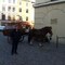 Qrіy Budusqwz8497