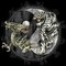 Palmist