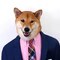 Bazil_v87