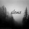 silencе