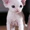 LuN