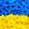 uкраинец