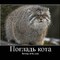 вреднющщщая