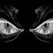 EyeS