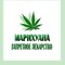_тарантул_