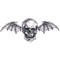 SkullBat