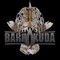 baracuda 7