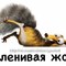 Чижик-пыжык