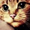 katrin--